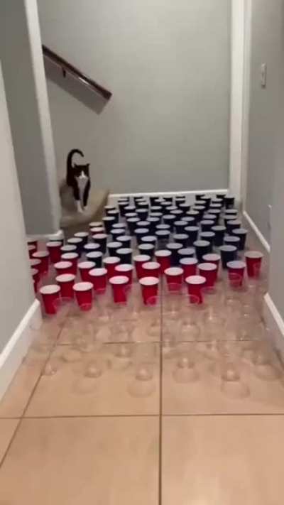 They attacked first, I swear!