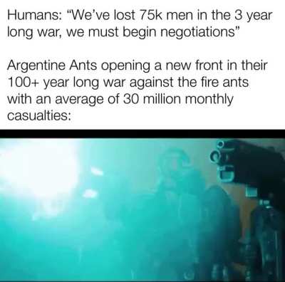 Meanwhile chimpanzees suffering 11 casualties in 4 years of war
