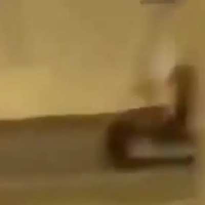 Muita coisa rolando
