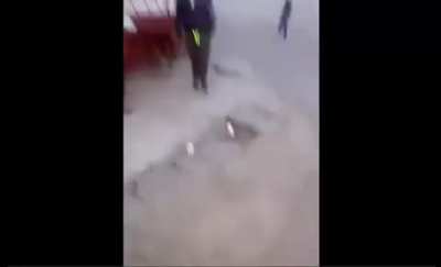 Drunken youths swinging old lady around while she screams in terror