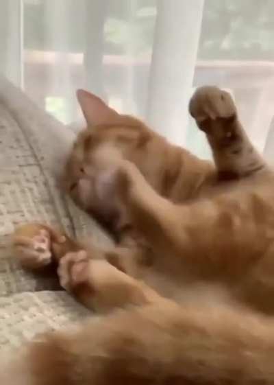 Staaahp