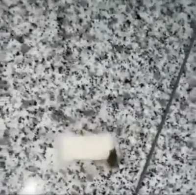 :0