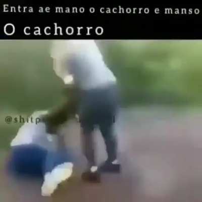 Um t&iacute;tulo interessante