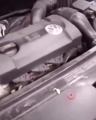 hungry car😮🤣