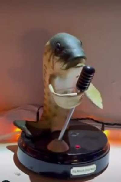 The emotion fish