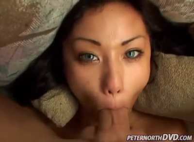 Avena lee