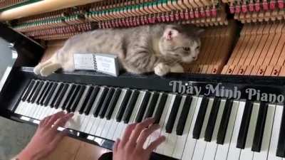 "Just let me sleep already!"