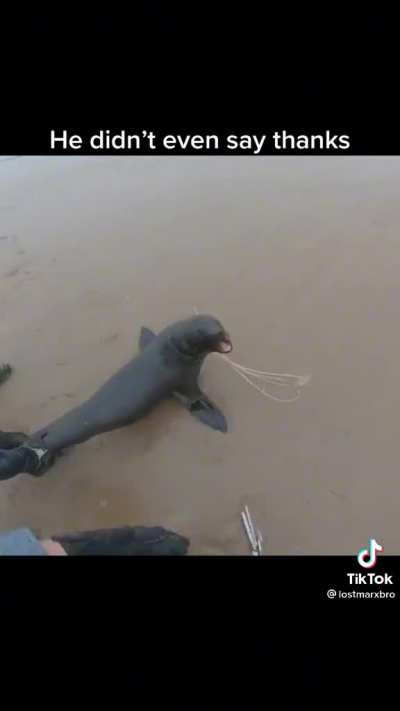 Seal of disapproval