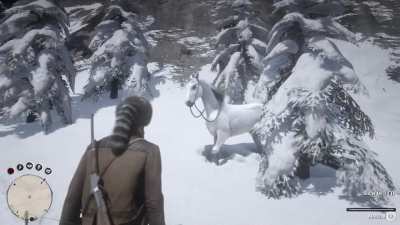 Wow, lemme get my horse