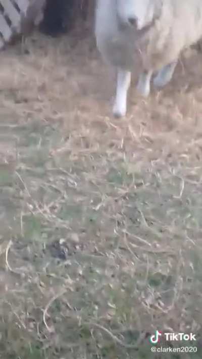 Oscar esta en depresi&oacute;n