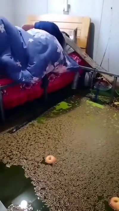 hmmm
