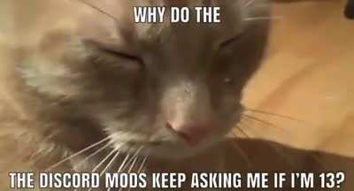 Mods