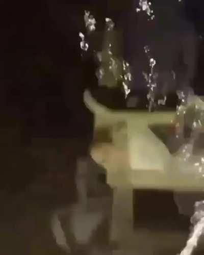 hola