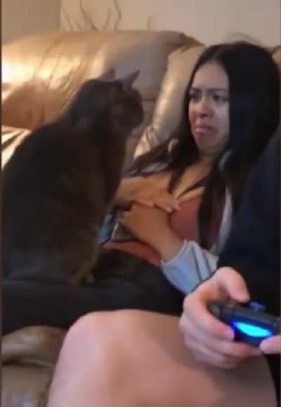 Someone doesn't like cats