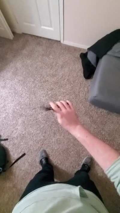 I've been flipping for a little around a year now, started with that curved balisong and now I have a Rep on the way with a Bas in my sights. Love the hobby and the community.