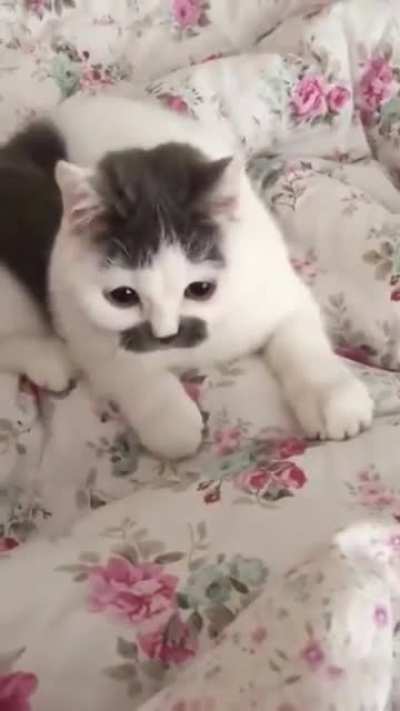 Look at that fun eyes &amp;lt;3