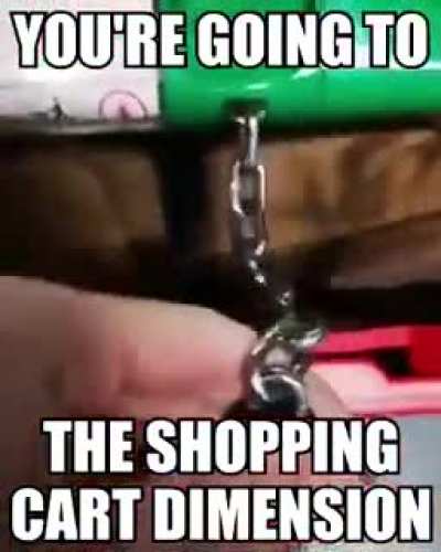 item: teleporter to the shopping cart dimension