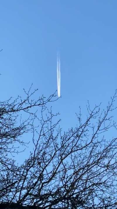 What am I looking at? (8:59 a.m. ET - 1/11/26 - Georgia, USA)
