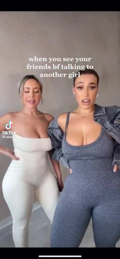 👑👑👑👑