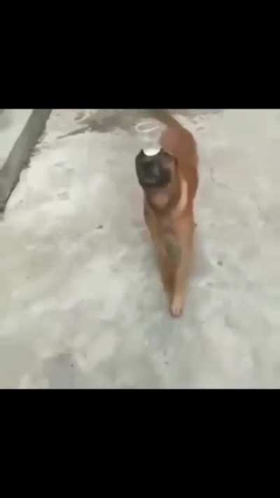 '-'