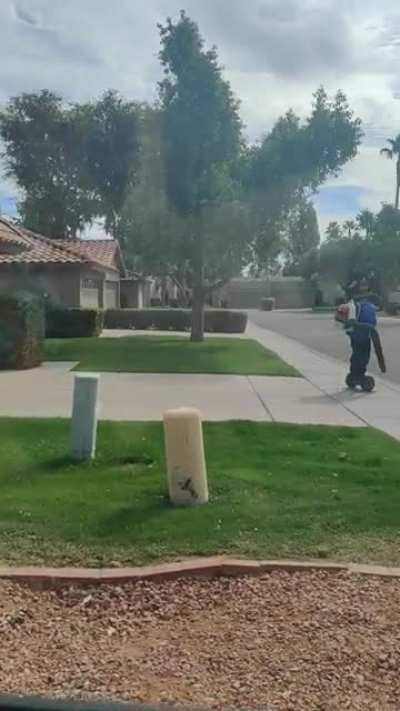 This guy blowing the leaves in my neighborhood, what a boss