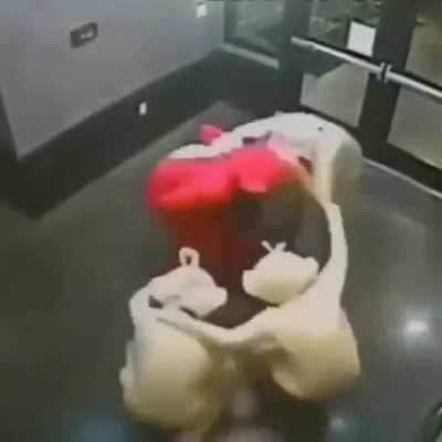 cursed_comiccon