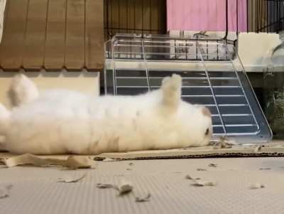 Sometimes when you flop too hard the first time, you need to reset and try again