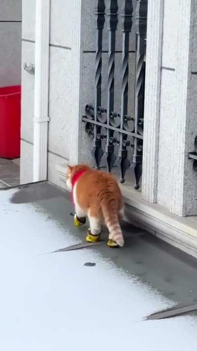 Ready for winter