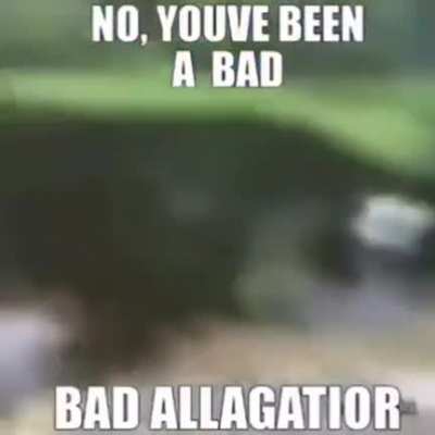 Bad alligator