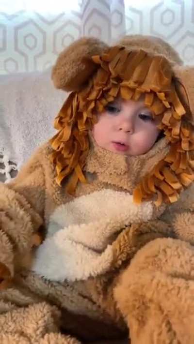 how cute it is
