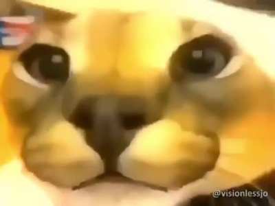 :D