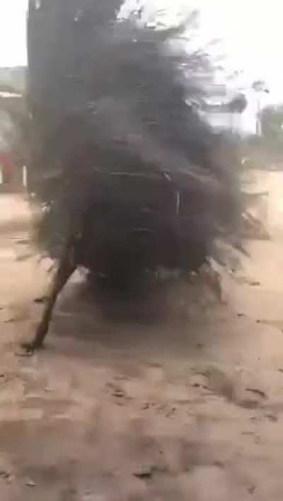 I can&rsquo;t see anyone inside, it&rsquo;s a spirit