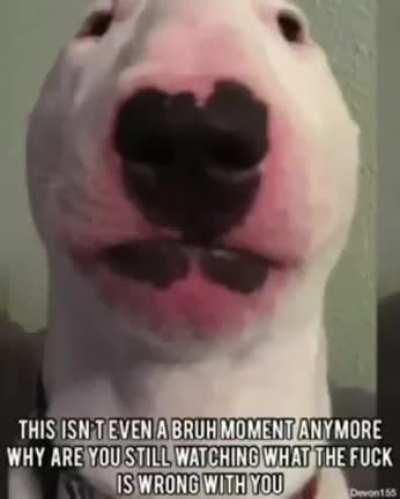 😳😳
