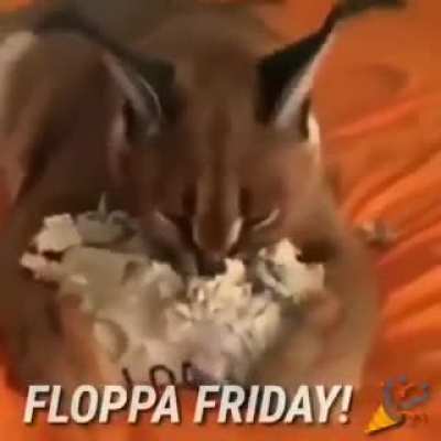 Today is the day