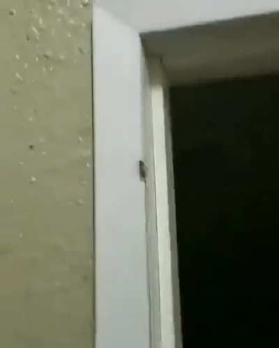 BeelcitosMemes - Video #6701
