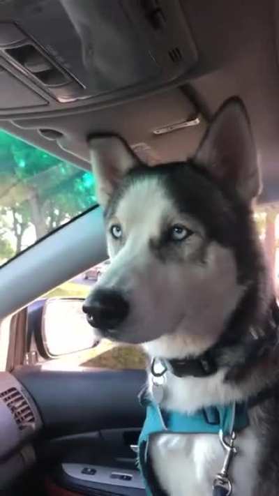 Moonmoon meets Moonmoon