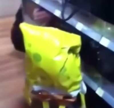 splorgoborgobo