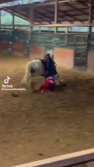 Bonk