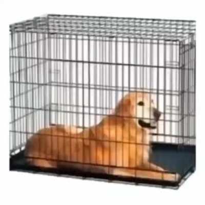 epic doggo eyebleach (kinda a meme but kinda eyebleach)