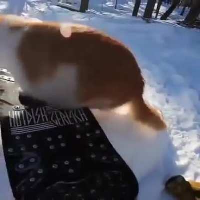 Подготовка к зимней олимпиаде