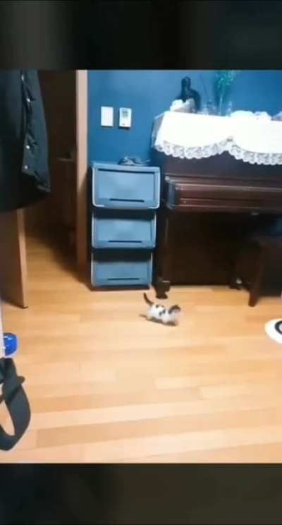 Oh god he's coming