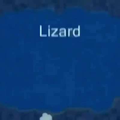 lizor