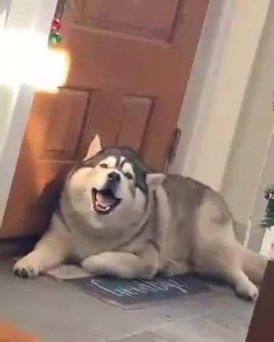 But I'm still hungry