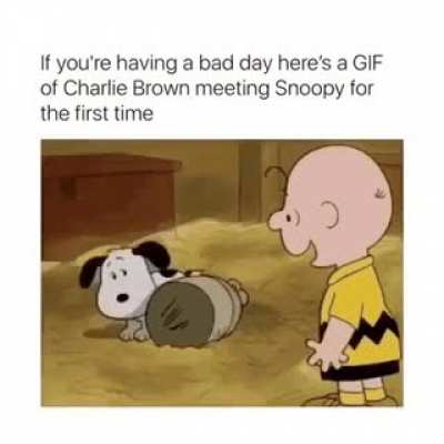 I too want me someone who loves me as much as Charlie loves Snoopy.