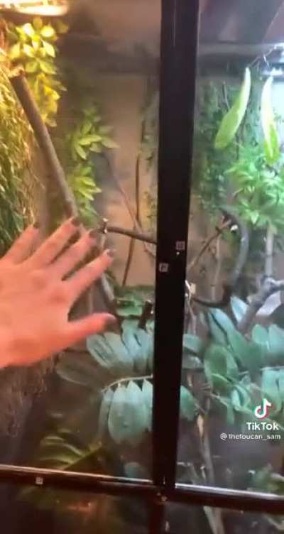Shhh, you don&rsquo;t see me