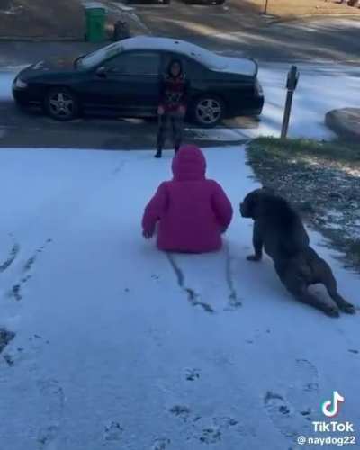 The Dog🤣🤣🐕