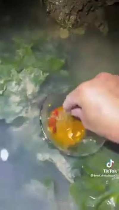 Botulism Speedrun