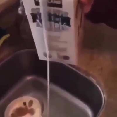 Creamy white substance found in the milk &hellip;