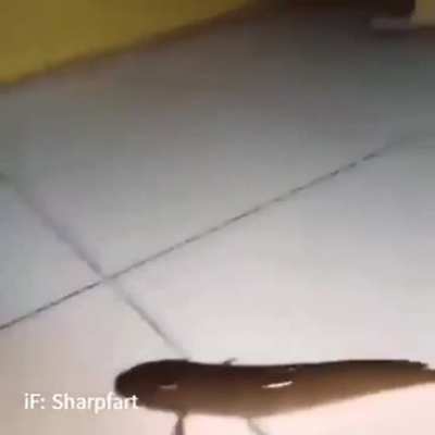 🤠