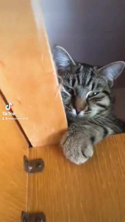 SUP